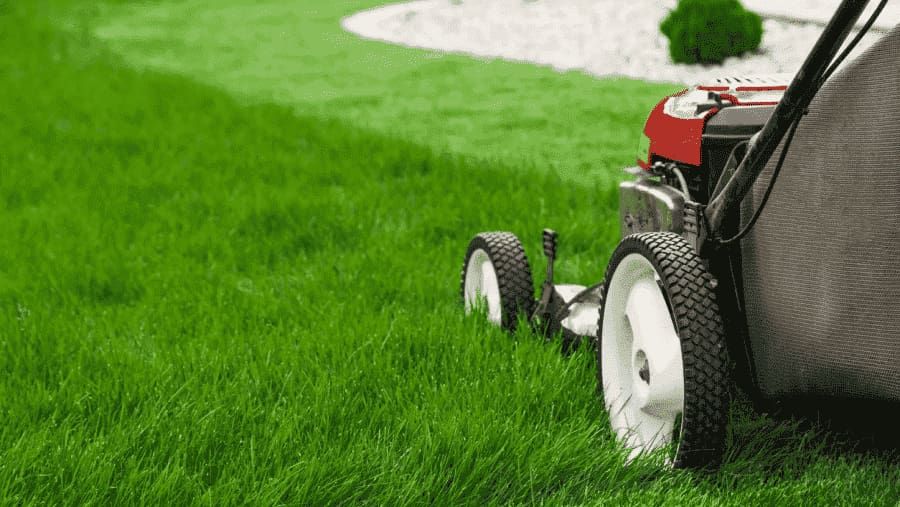 What Are the Benefits of Hiring a Mower