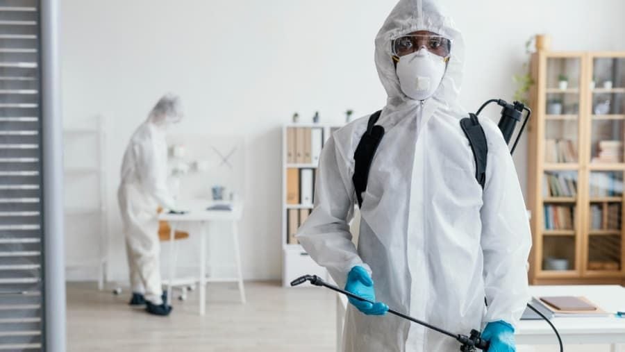 Pest Control Protects Your Home
